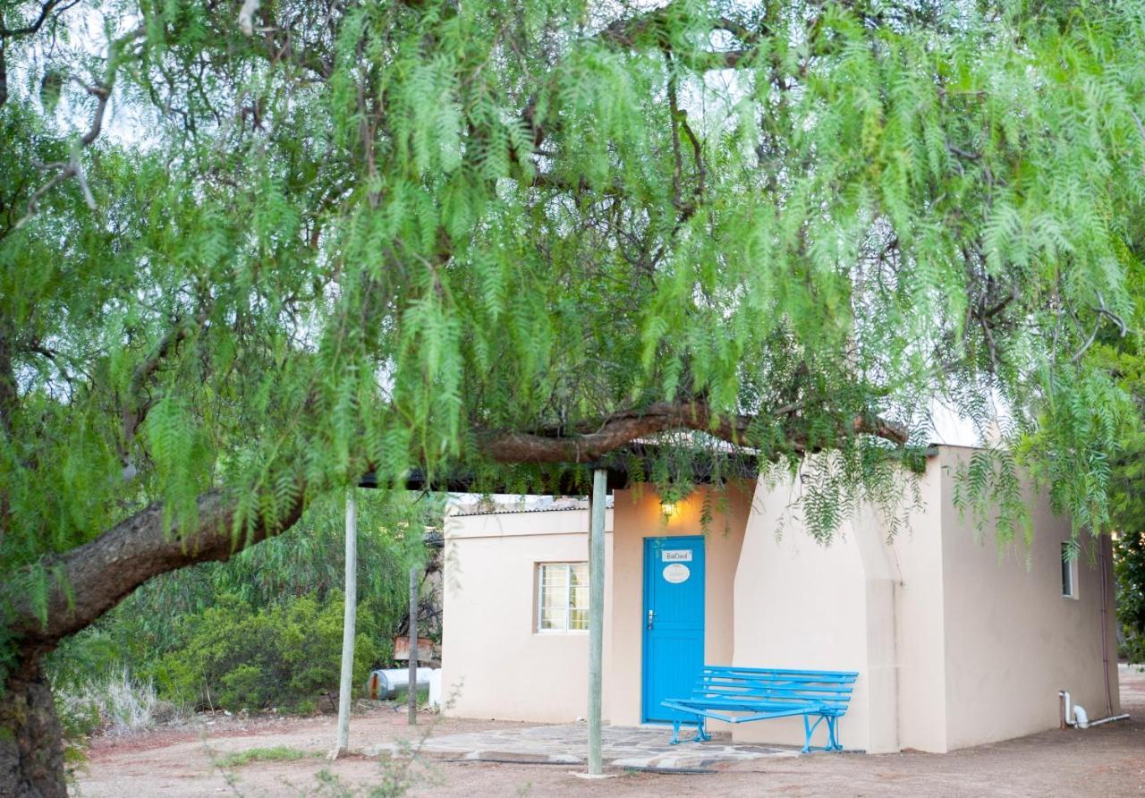 Willemsrivier Trekpad Guest Houses Nieuwoudtville المظهر الخارجي الصورة