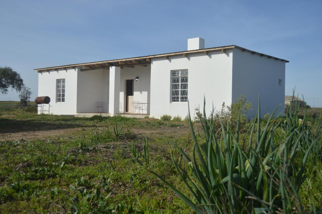 Willemsrivier Trekpad Guest Houses Nieuwoudtville المظهر الخارجي الصورة