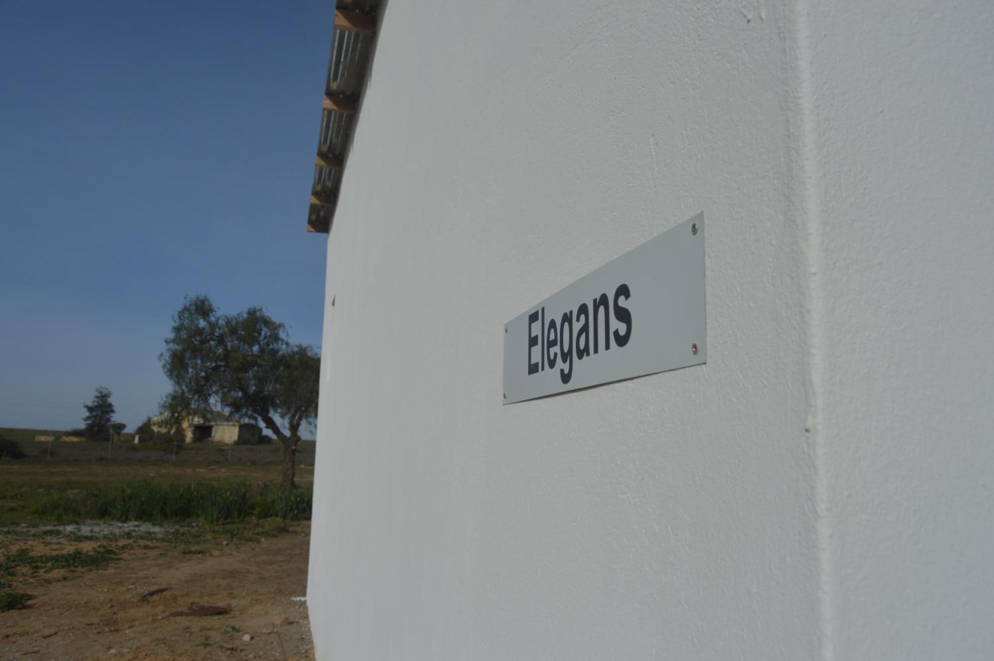 Willemsrivier Trekpad Guest Houses Nieuwoudtville المظهر الخارجي الصورة