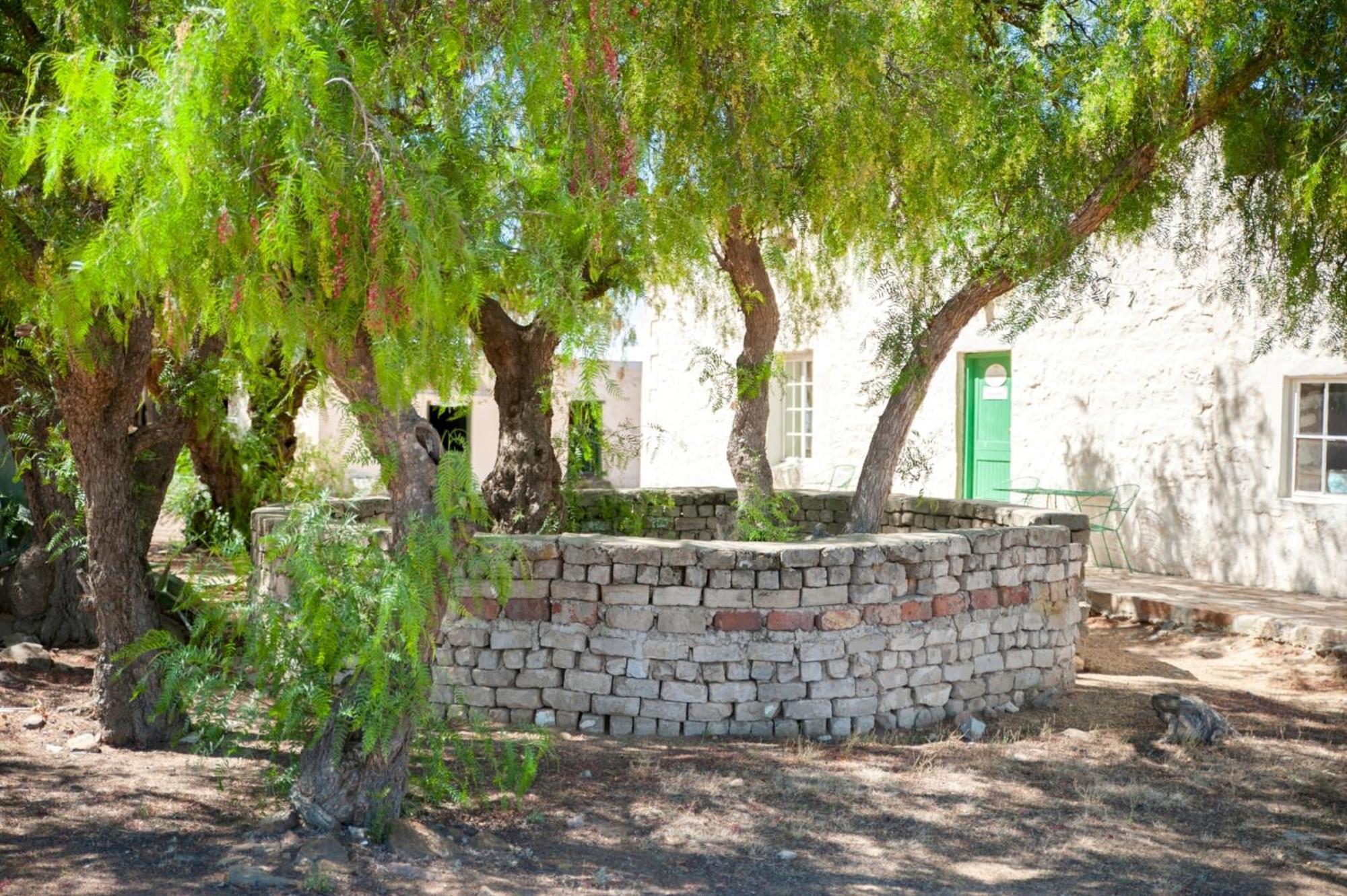 Willemsrivier Trekpad Guest Houses Nieuwoudtville المظهر الخارجي الصورة